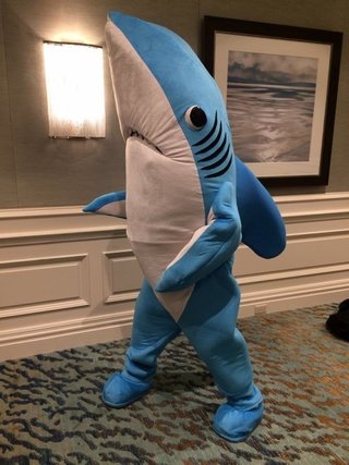Shark Character