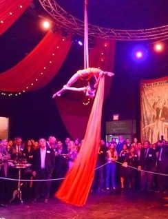 Flying Silks, Cirque Acts